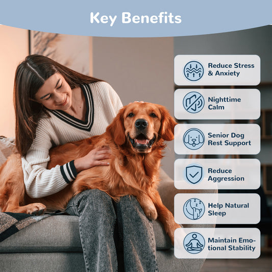 Dog Calming Chews with Melatonin Set, Calming Soft Chews for Dogs for Fireworks, Storms, Thunder, Travel, Road Trip, Day and Night Set