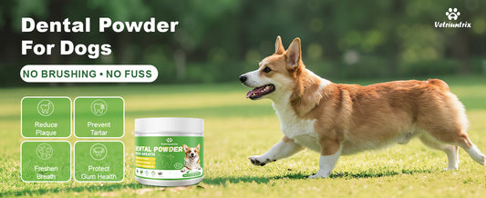 Vetriuntrix Dental Powder Full Series for Dogs Teeth Tartar Remove & Plaque Off, Fresh Breath for Dogs with Natural Plants Extracts and Postbiotics