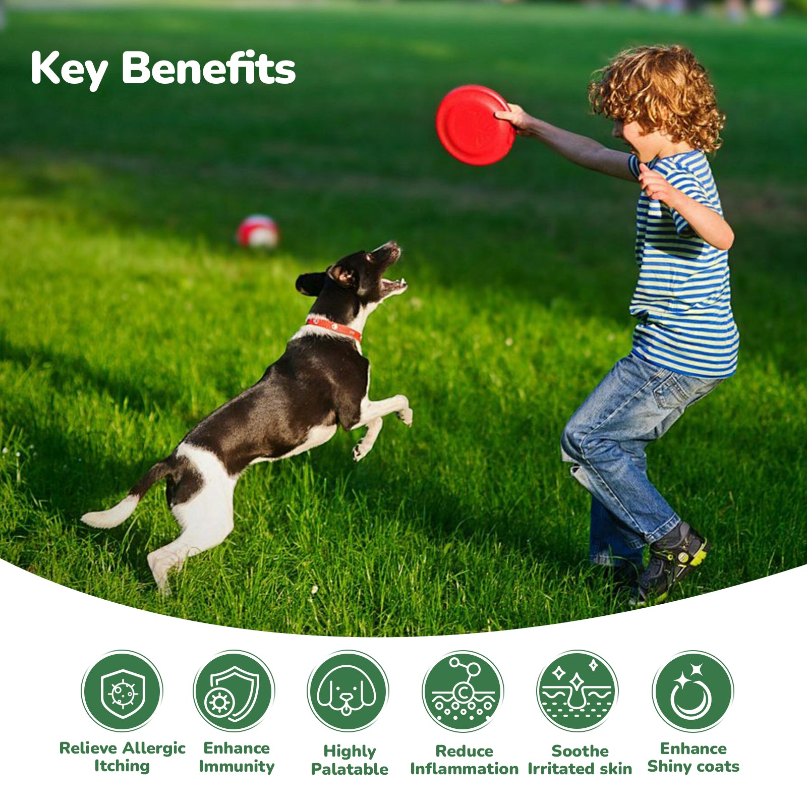 Vetriuntrix Dog Allergy & Itch Relief Soft Chews