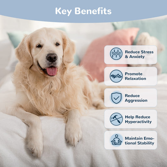 Vetriuntrix Calming Chews for Dogs, Day Series, Dog Calming Chews for Fireworks, Thunder, Storms, Travel, Road Trip, Calming Soft Chews for Dogs Natural and Gentle