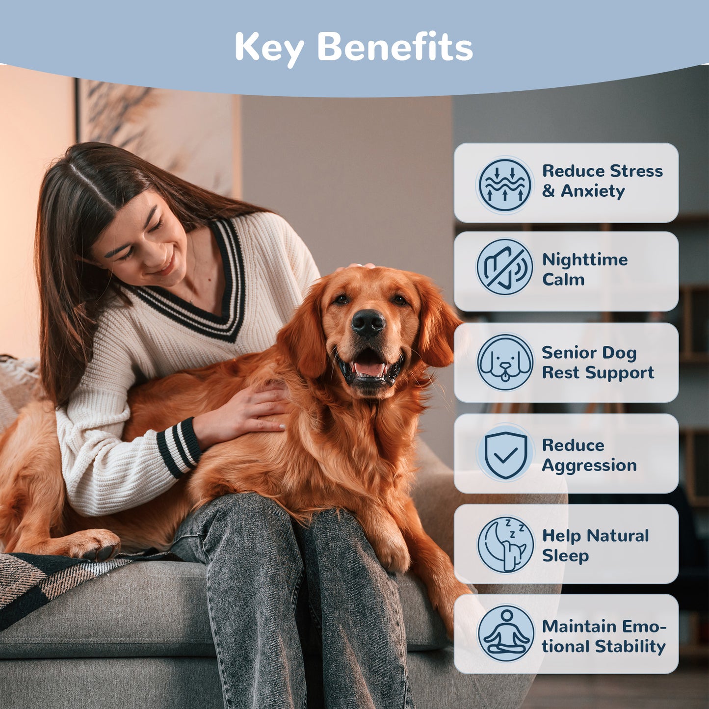 Dog Calming Chews with Melatonin Set, Calming Soft Chews for Dogs for Fireworks, Storms, Thunder, Travel, Road Trip, Day and Night Set