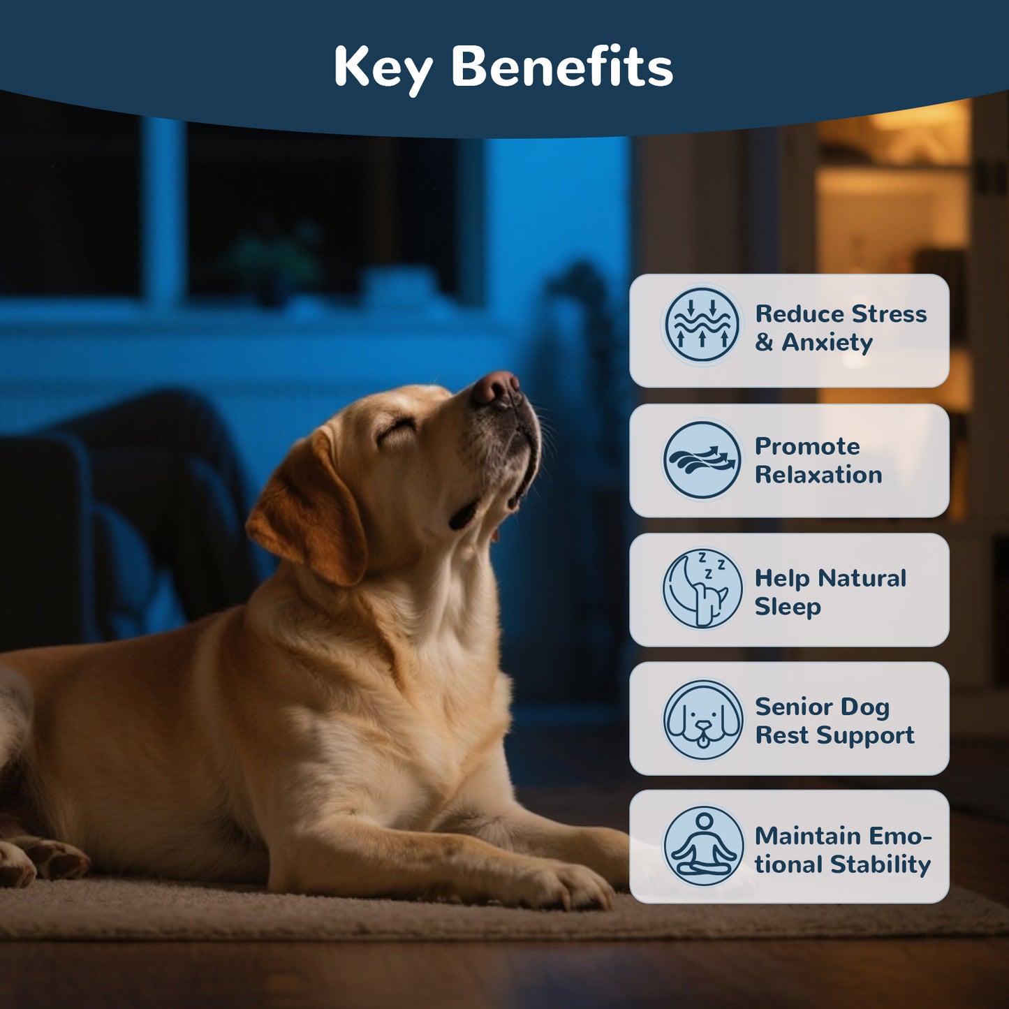 Vetriuntrix Dog Calming Chews-Night Formula