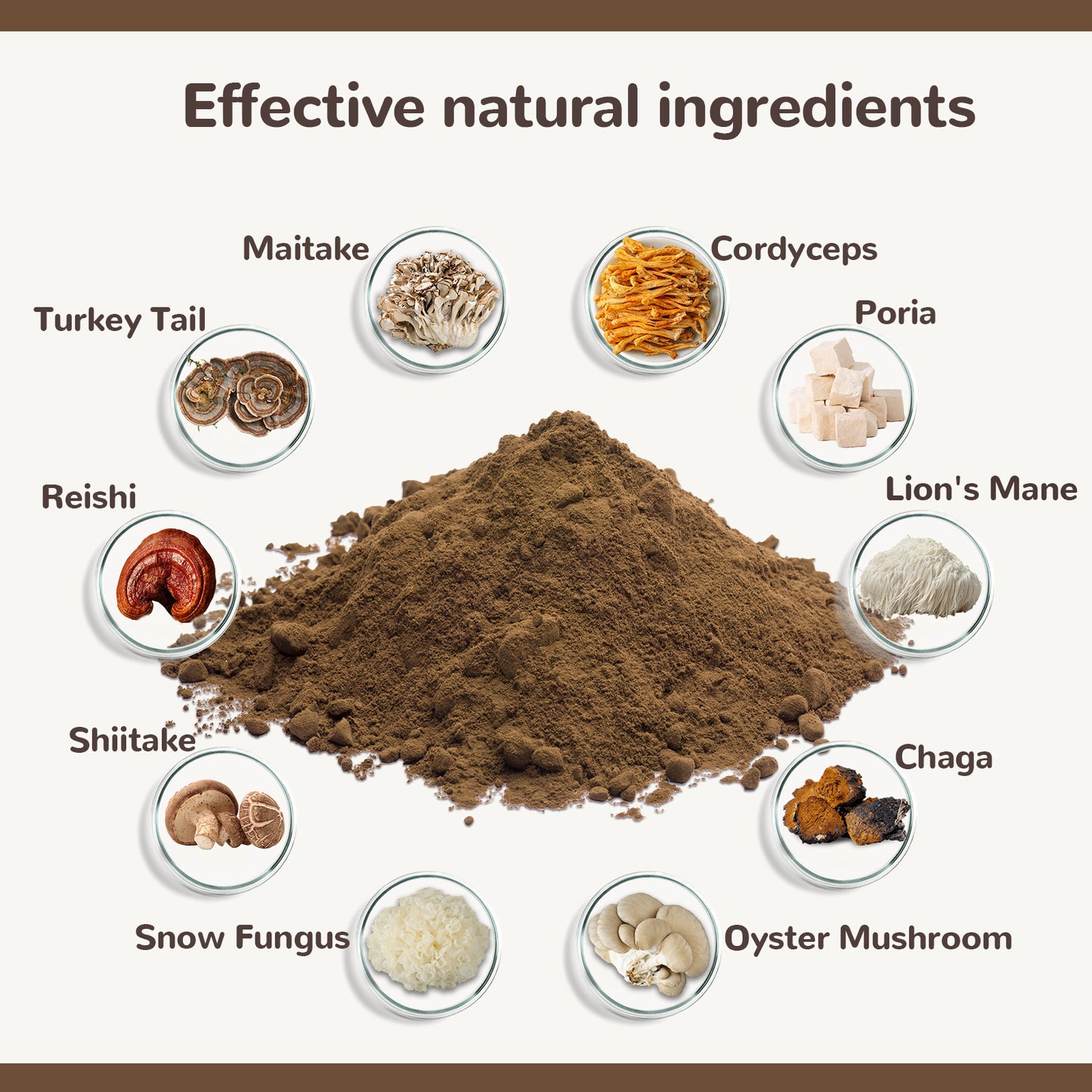 Vetriuntrix Turkey Tail Mushroom Powder