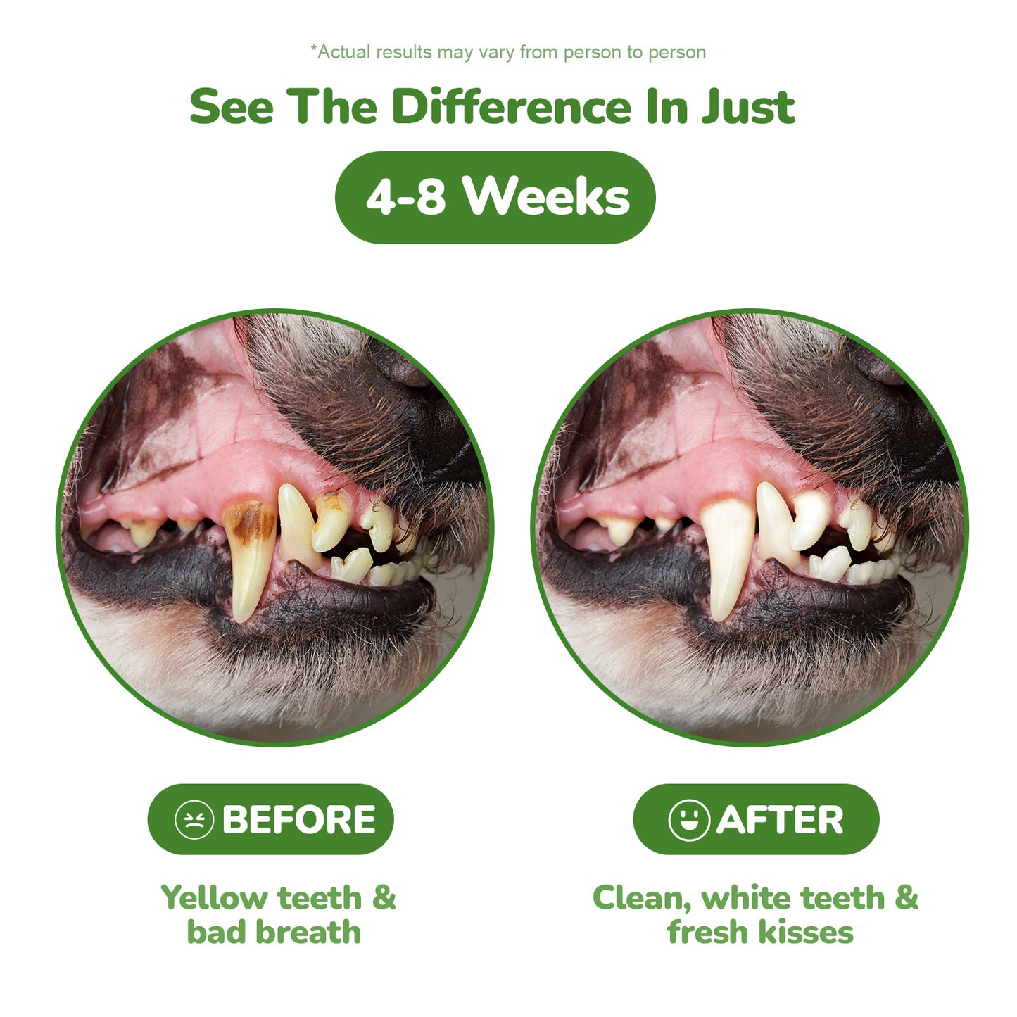 Vetriuntrix Dog Dental Care Powder