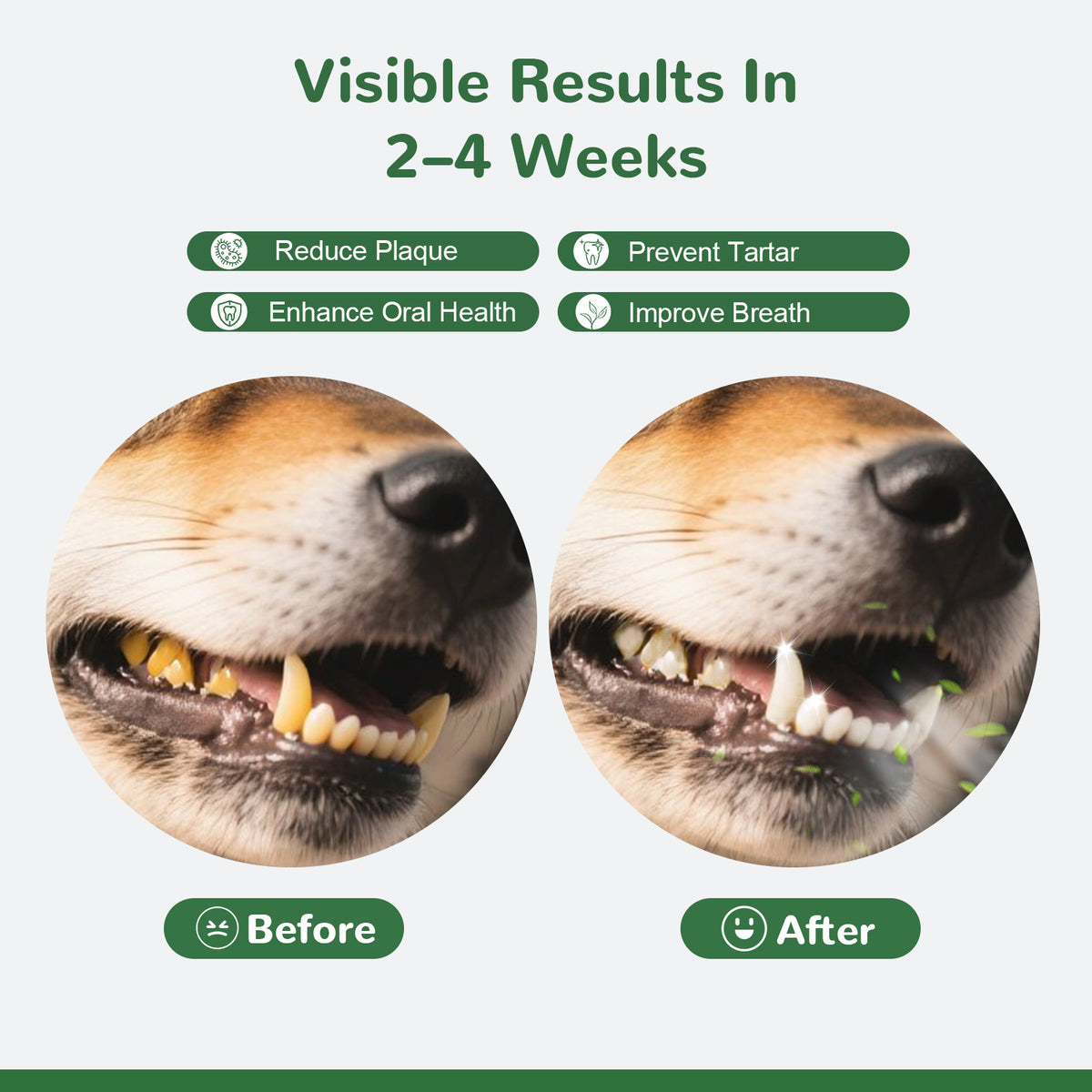 Vetriuntrix Dental Powder Full Series for Dogs Teeth Tartar Remove & Plaque Off, Fresh Breath for Dogs with Natural Plants Extracts and Postbiotics