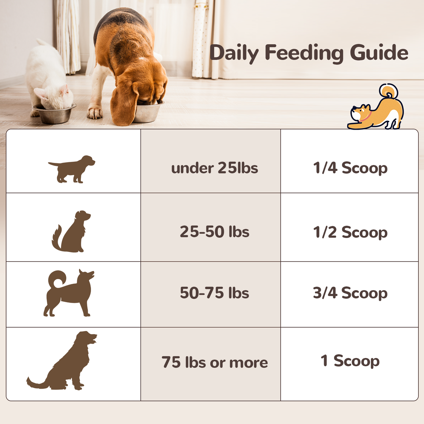 Vetriuntrix Turkey Tail Mushroom Powder