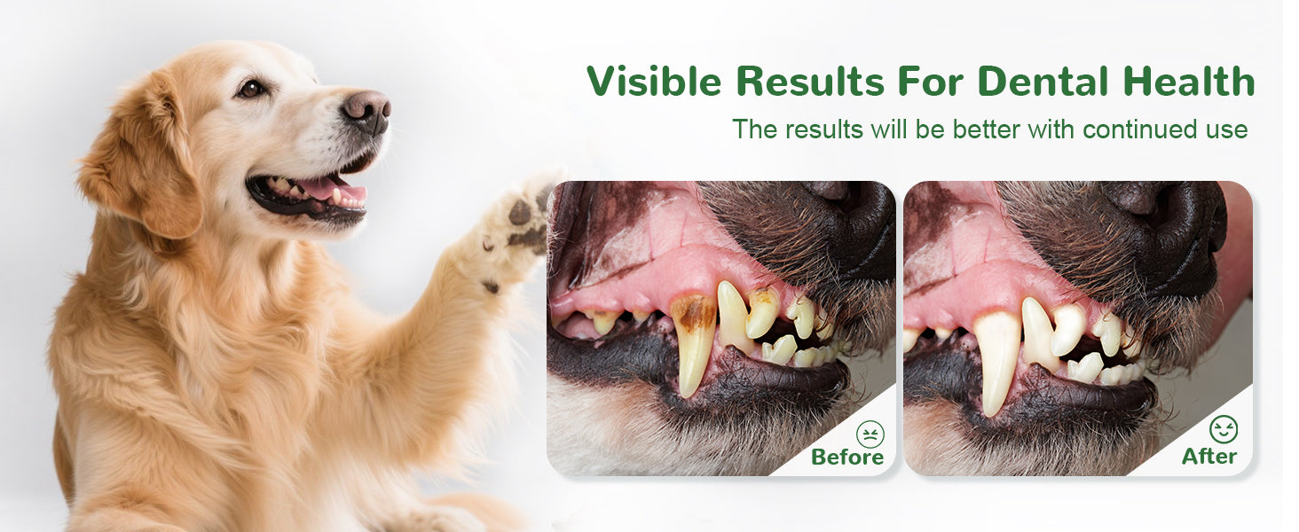 Vetriuntrix Dental Powder Full Series for Dogs Teeth Tartar Remove & Plaque Off, Fresh Breath for Dogs with Natural Plants Extracts and Postbiotics