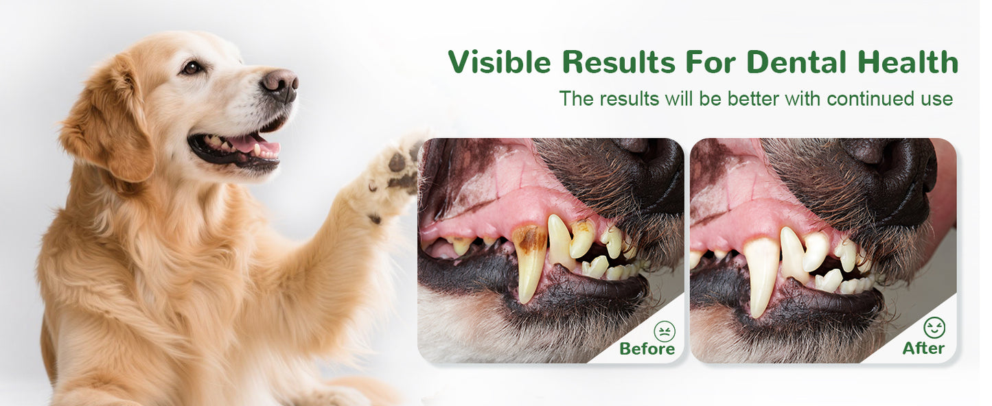 Vetriuntrix Dental Powder Full Series for Dogs Teeth Tartar Remove & Plaque Off, Fresh Breath for Dogs with Natural Plants Extracts and Postbiotics