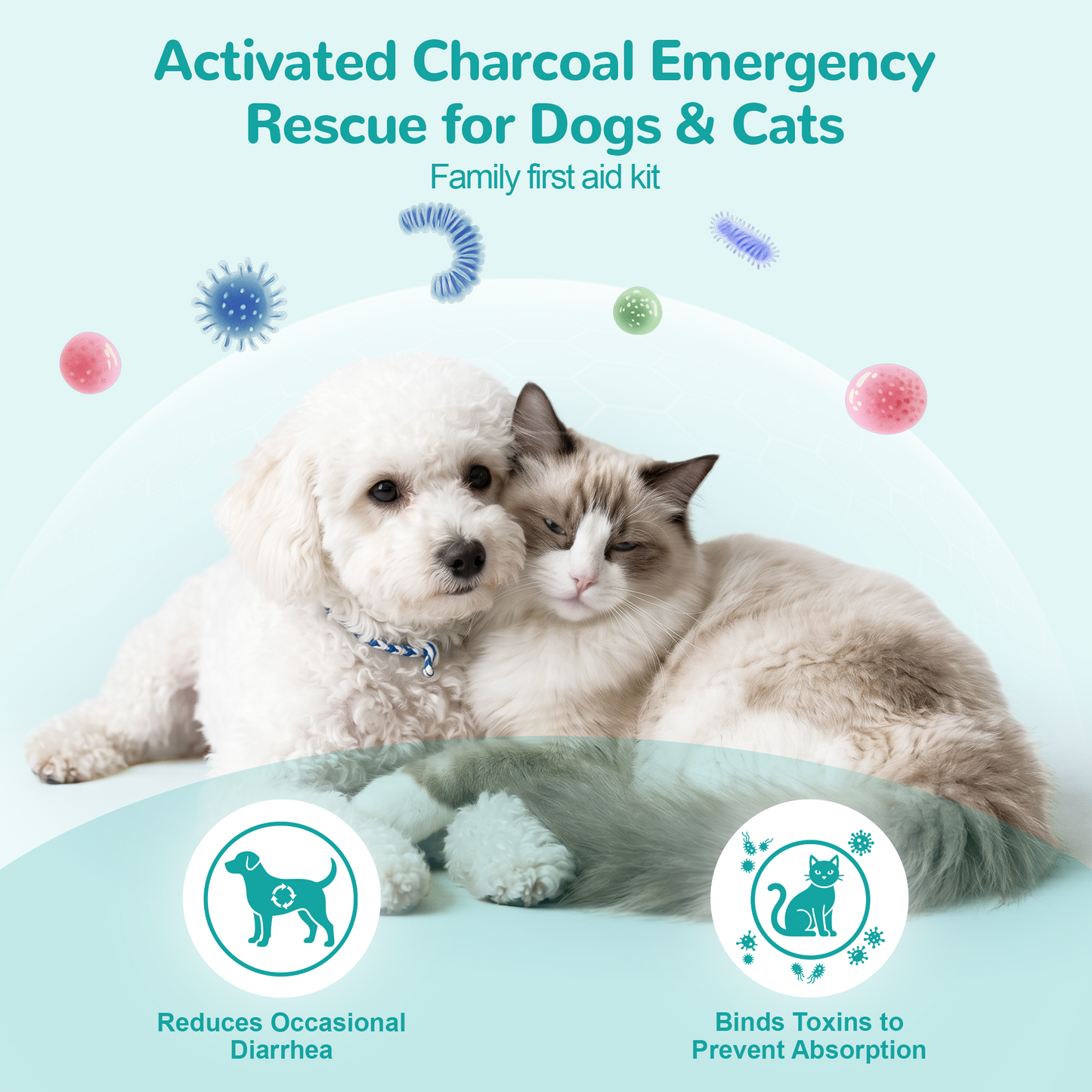 Activated Charcoal for Dogs & Cats - 30ml Anti Diarrhea | Emergency Poison First Aid Kit & Toxin Binder - Oral Paste with Syringe for Accidental Ingestion, Home & Travel