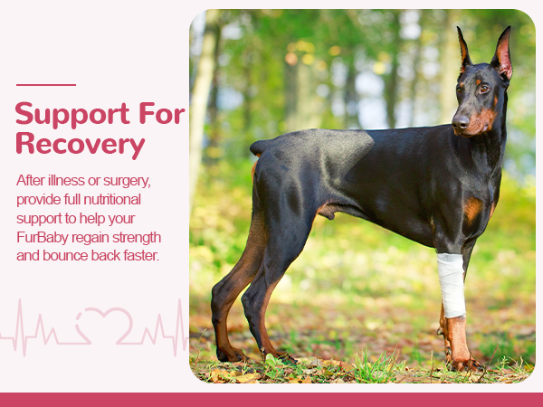 Vetriuntrix Heart Support Supplement for Dogs 200ct, Taurine for Senior & Puppy Dogs, Dog Multivitamin with CoQ10 & L-Carnitine for Heart, Cardiovascular & Antioxidant Support