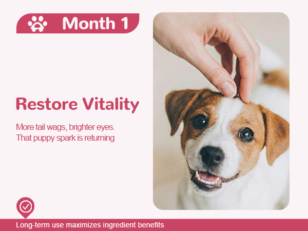 Vetriuntrix Heart Support Supplement for Dogs 200ct, Taurine for Senior & Puppy Dogs, Dog Multivitamin with CoQ10 & L-Carnitine for Heart, Cardiovascular & Antioxidant Support