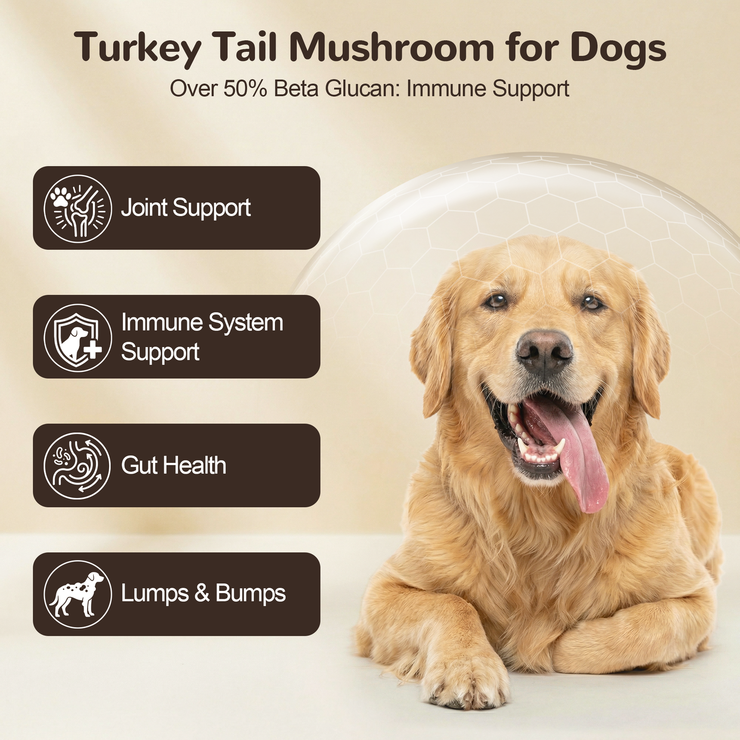 Vetriuntrix Organic Turkey Tail Mushroom for Dogs Full Series - Over 50% Beta Glucan - 10-in-1 Mushroom Powder for Immune & Gut Support - Dog Mushroom Supplements for Lumps and Bumps - Chicken Flavor