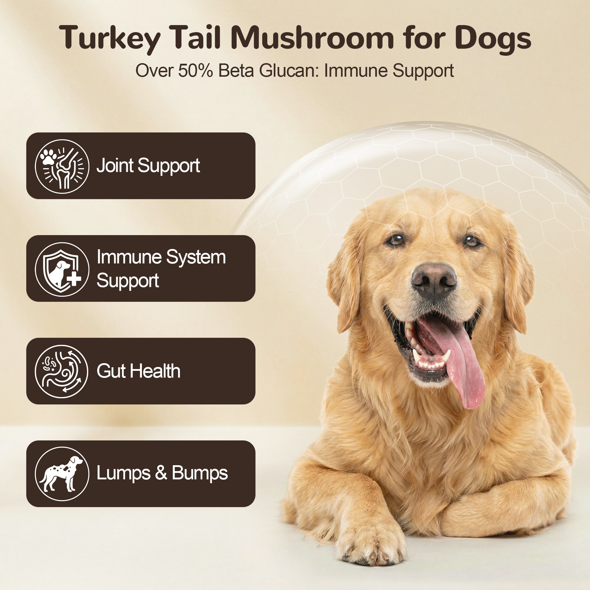 Vetriuntrix Organic Turkey Tail Mushroom for Dogs Full Series - Over 50% Beta Glucan - 10-in-1 Mushroom Powder for Immune & Gut Support - Dog Mushroom Supplements for Lumps and Bumps - Chicken Flavor