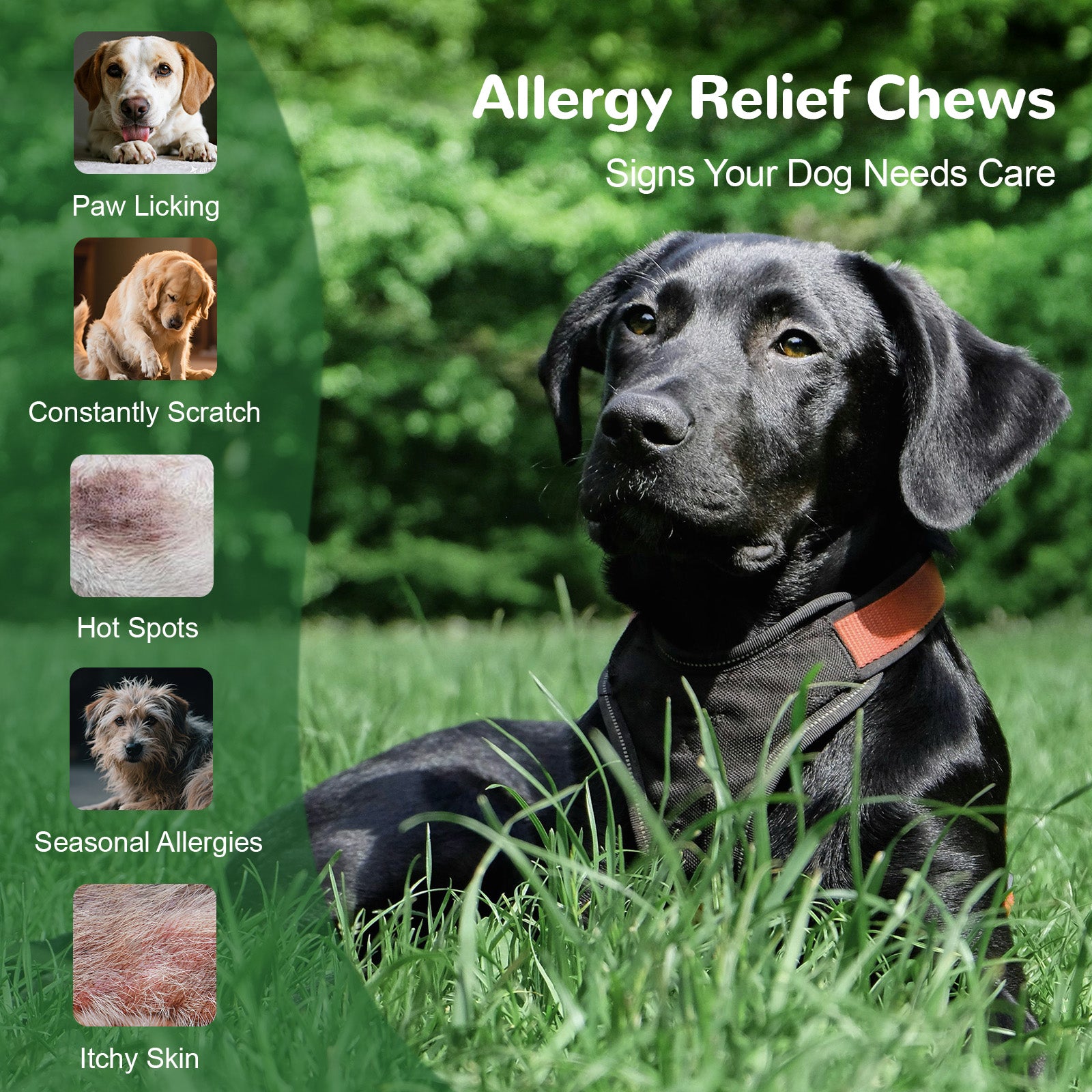 Vetriuntrix Dog Allergy & Itch Relief Soft Chews