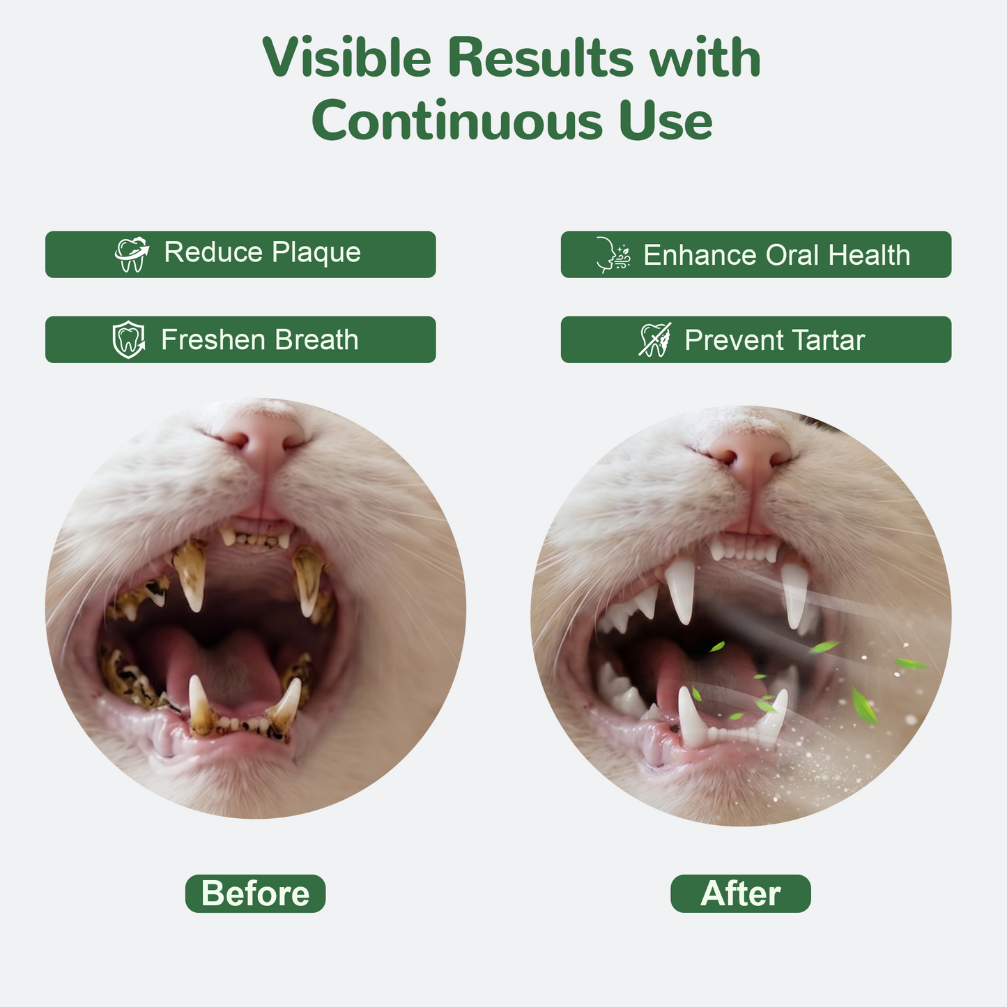 Vetriuntrix Cat Dental Powder