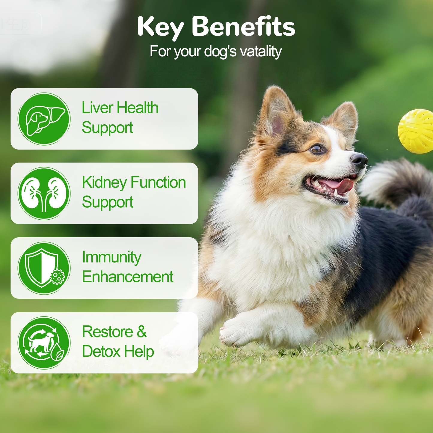Vetriuntrix Dog Liver Support Chews