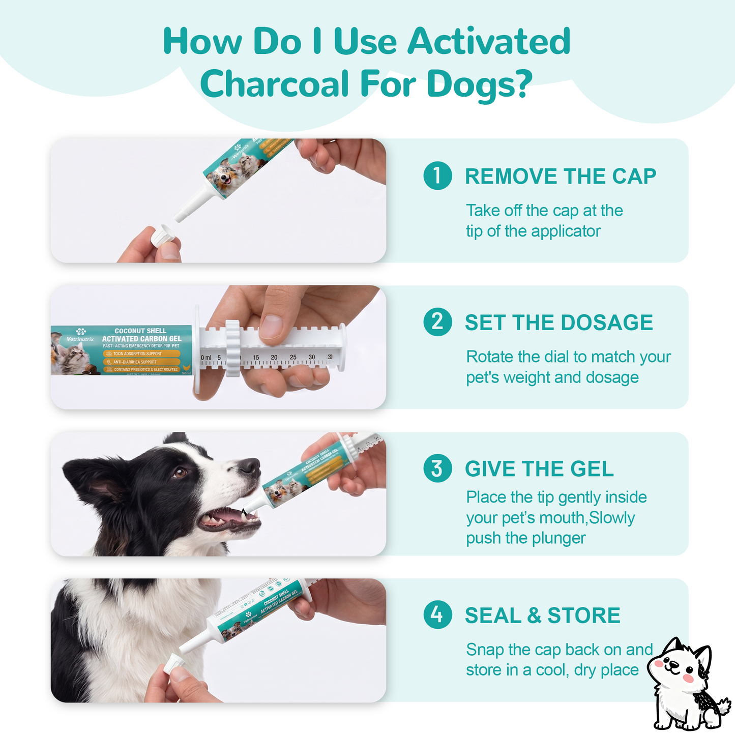 Activated Charcoal for Dogs & Cats - 30ml Anti Diarrhea | Emergency Poison First Aid Kit & Toxin Binder - Oral Paste with Syringe for Accidental Ingestion, Home & Travel