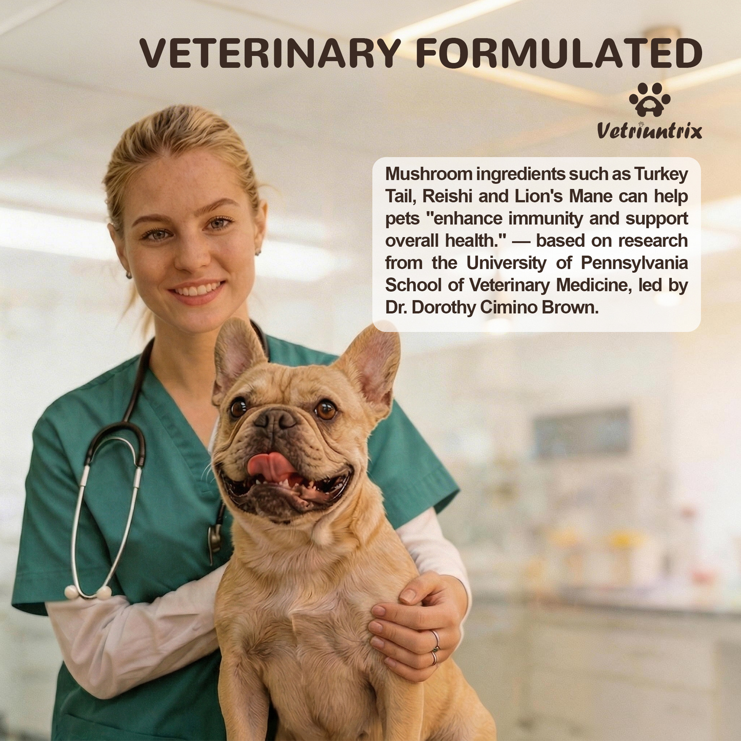 Vetriuntrix Organic Turkey Tail Mushroom for Dogs Full Series - Over 50% Beta Glucan - 10-in-1 Mushroom Powder for Immune & Gut Support - Dog Mushroom Supplements for Lumps and Bumps - Chicken Flavor